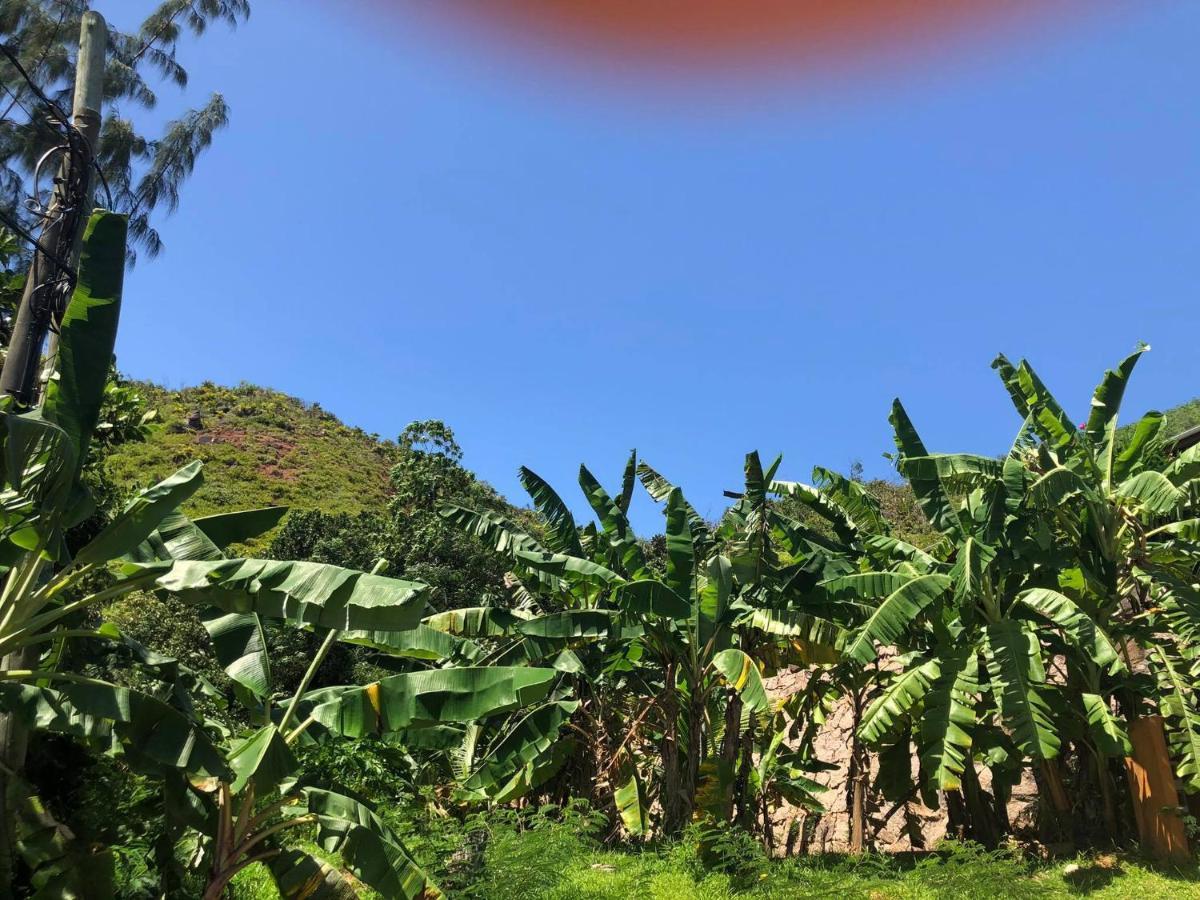 Mirella Villa Island Princess Villa Anse Volbert Village Buitenkant foto