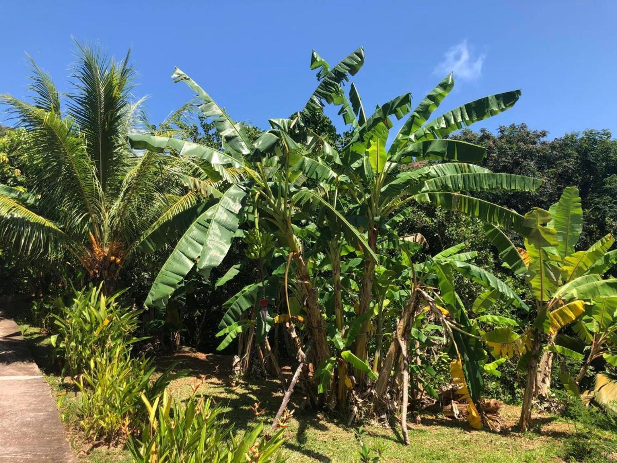 Mirella Villa Island Princess Villa Anse Volbert Village Buitenkant foto