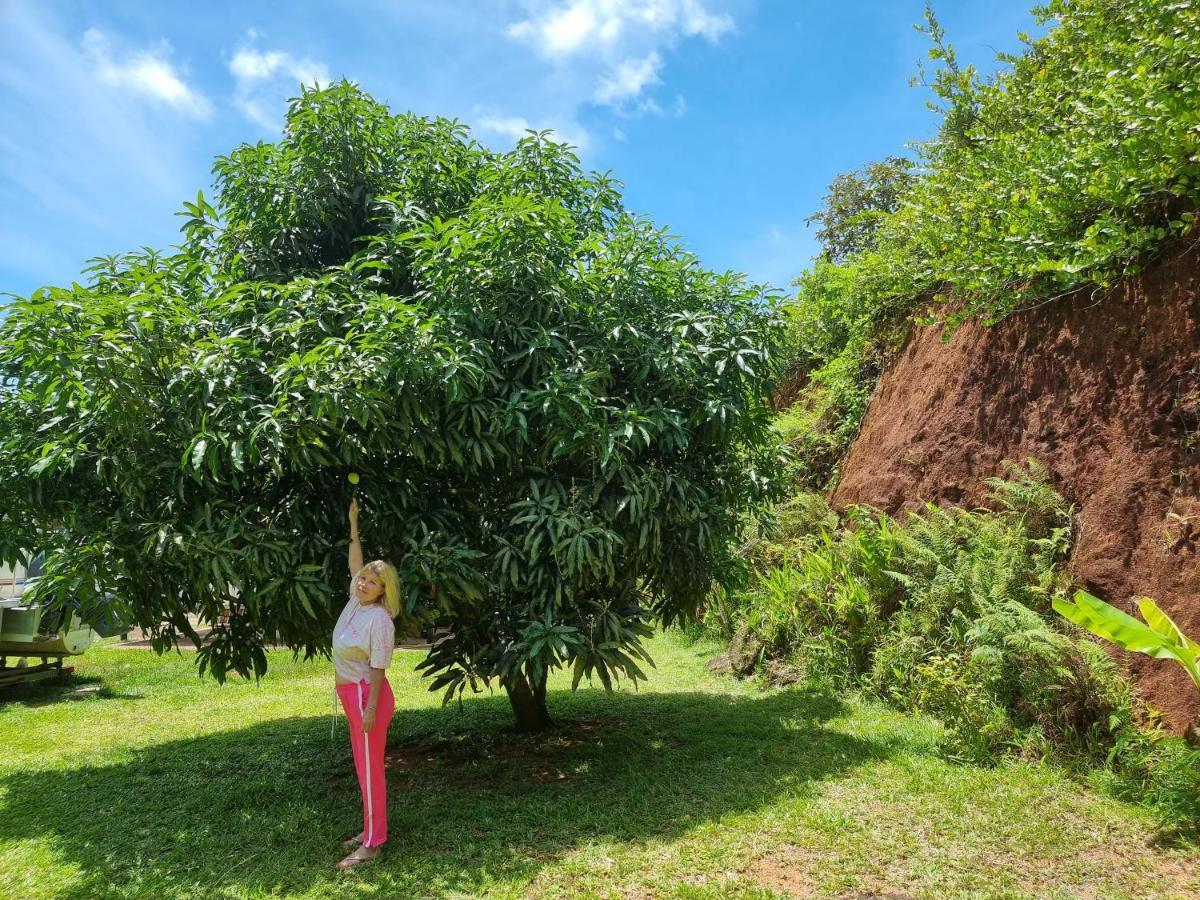Mirella Villa Island Princess Villa Anse Volbert Village Buitenkant foto