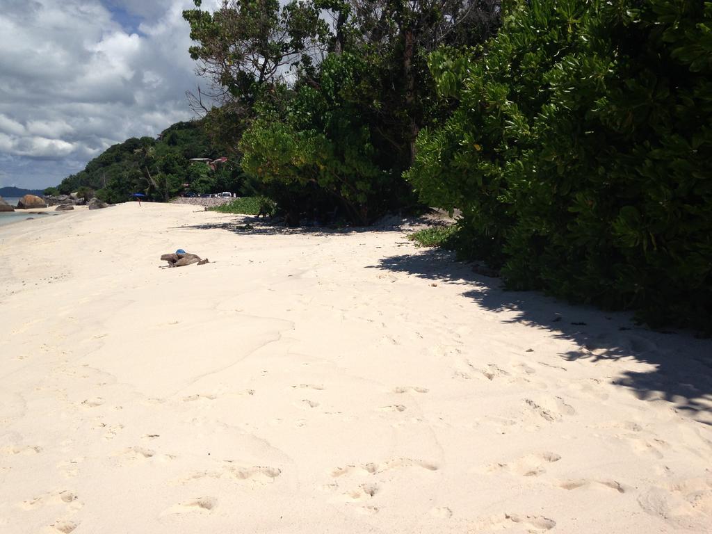 Mirella Villa Island Princess Villa Anse Volbert Village Buitenkant foto